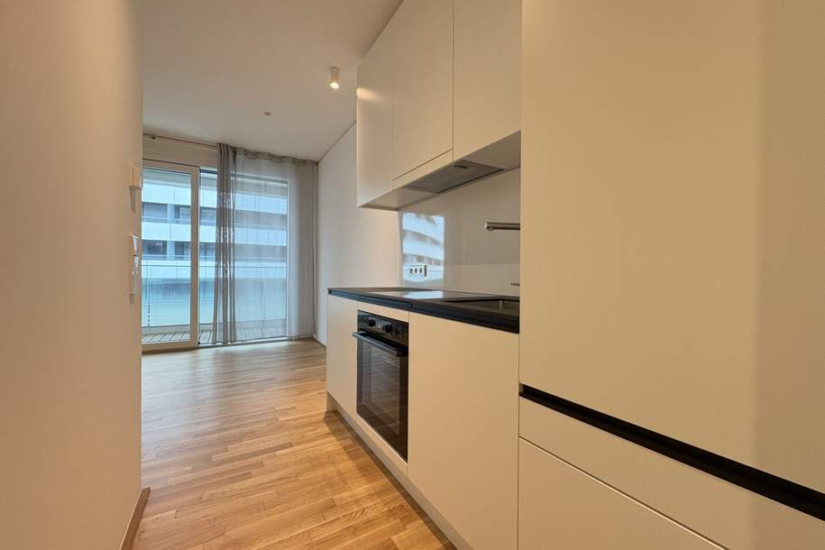 DANUBE VIEW - Stilvolles Wohnen an der Neuen Donau, Wohnung-miete, 898,99,€, 1220 Wien 22., Donaustadt