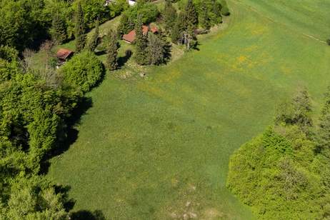 Großzügiges Grundstück mit kleinem Holzhaus, Grund und Boden-kauf, 450.000,€, 9220 Villach Land