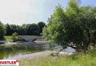 Wohnen an der Traisen – Im Herzen St. Pöltens - Exklusive Eigentumswohnungen mit Naturblick