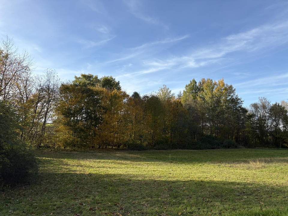 Idylisches Baugrundstück im Grünen