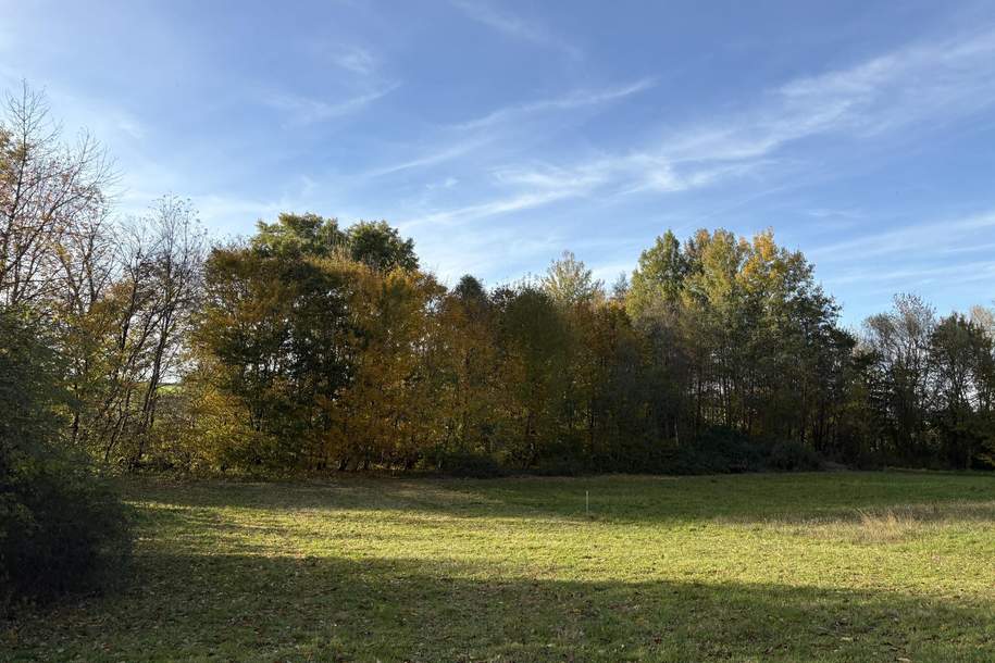 Idylisches Baugrundstück im Grünen, Grund und Boden-kauf, 70.445,€, 4942 Ried im Innkreis