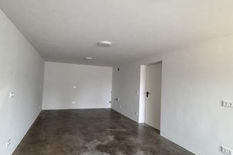 Halle mit extra Lagerfläche und 3 Büros - Erstbezug, technische Top-Ausstattung - PV-Anlage!, Gewerbeobjekt-miete, 2.416,00,€, 2500 Baden