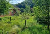 AN DER SONNENSEITE AM WALDRAND!