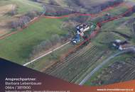 Herrlicher Vierkanthof mit 4 , 1 ha Scheibengrund im steirischen Thermenland