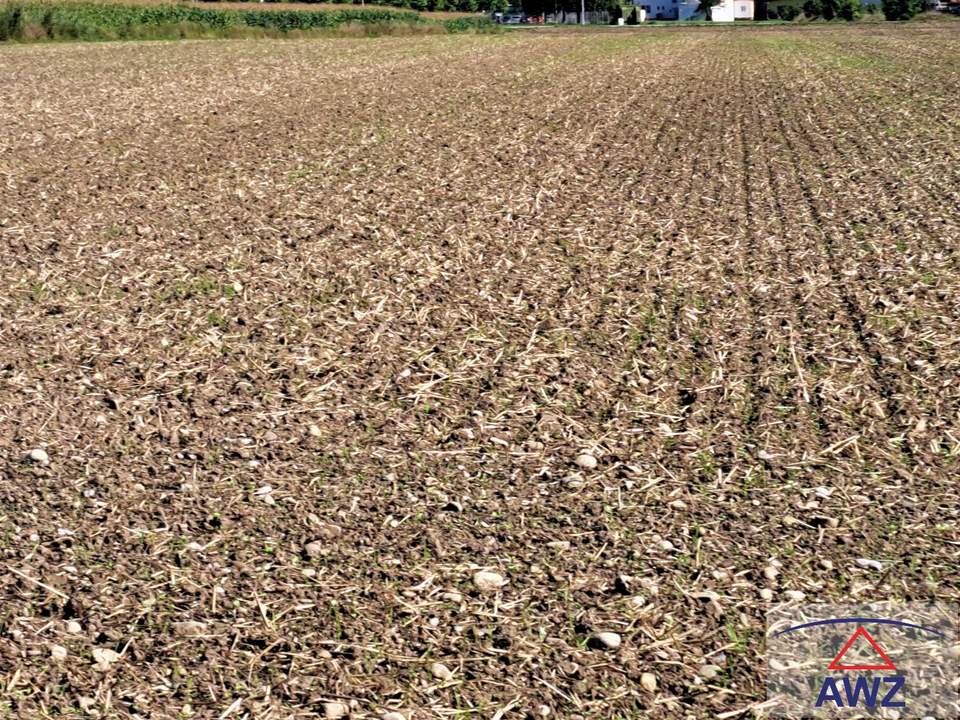 Mögliches Bauerwartungsland in bester Lage!