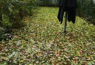 Maissonette mit Garten - Innenstadtbezirk in Wien