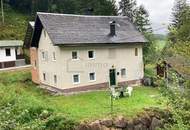 Für kreative Köpfe und Bastler, kleines Almhaus für Naturliebhaber!