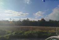 Baden (NÖ): 5.630 m² Kleingartensiedlungs-Grundstück – Konzept & Plan vorhanden | 18 Pacht-Interessenten | € 1.126.000