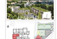 BETREUBARES WOHNEN in Hartberg | Erstbezug | 2 Zimmer Wohnung mit großem Balkon