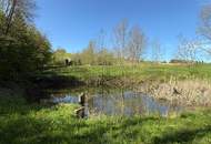 Naturidyll im SÜDBURGENLAND – Teichanlage mit großem Potenzial