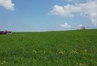 Attraktives Grundstück im Innviertel / Nähe Mattighofen