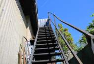 "Erste Reihe Alte Donau''