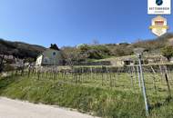 Preissenkung! Förthof: Winzerhaus mit großem Garten und Donaublick