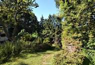 Baugrundstück im Augustinerwald - Naturidylle mit Hanglage