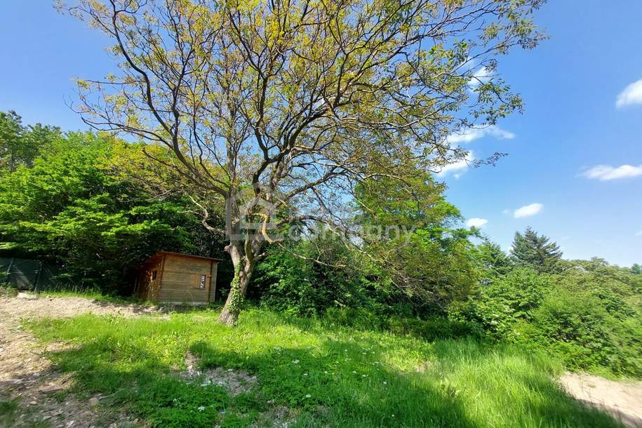 !!! Preisreduktion !!! Baugrundstück in Wienerwald Ruhelage an der Wiener Stadtgrenze im Bezirk Klosterneuburg, Grund und Boden-kauf, 380.000,€, 3400 Tulln