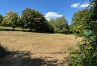 Wohnen im Grünen – Leben in Stadtnähe. Traumhaftes Grundstück im Wischathal!