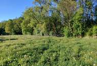 Gartenflächen am Ortsrand von Willendorf mit Grünblick 19,50 per m²