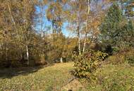 Attraktives Baugrundstück ohne Bauzwang in Brunnenthal