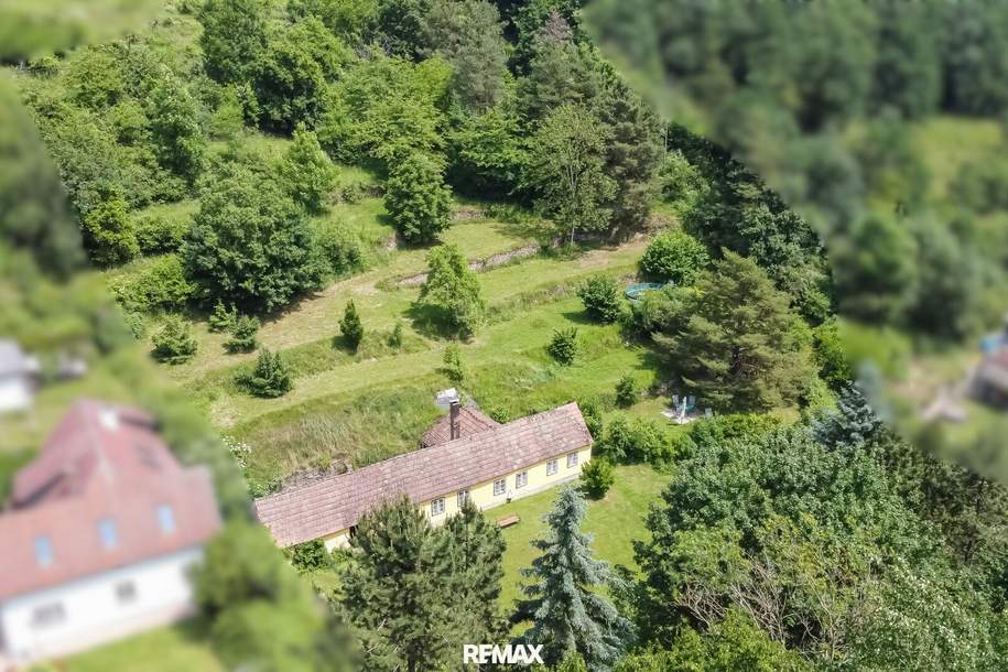 Sonniges Baugrundstück in Krems-Alauntal - Ihre zukünftige Ruheoase?!, Grund und Boden-kauf, 390.000,€, 3500 Krems an der Donau(Stadt)