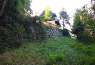 Tradition trifft Natur – Blockbau-Landhaus mit Sanierungsbedarf