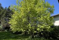 EINMALIG! Haus 300 Meter von der MITTELSTATION STUHLECK entfernt