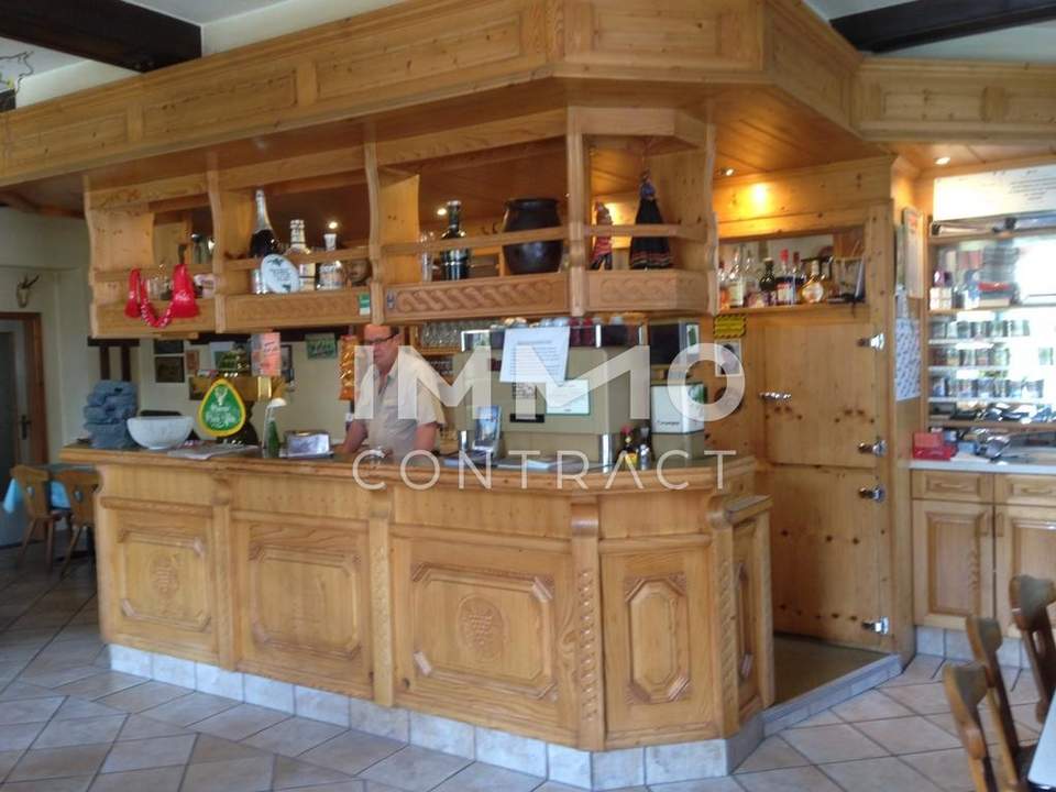 Gepflegtes Dorfgasthaus, 3 Wohneinheiten