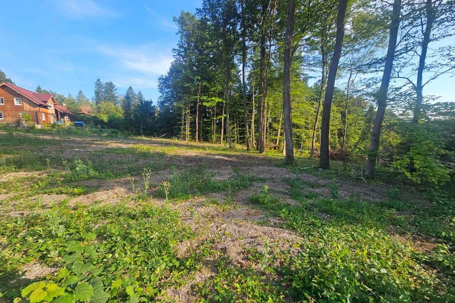 "In Kaufabwicklung!" SCHÖNES, SÜDSEITIGES GRUNDSTÜCK IN WALDRANDLAGE, Grund und Boden-kauf, 172.500,€, 3033 Sankt Pölten(Land)