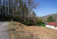 Baugrund am Ende der Sackgasse – Natur & perfekte Nähe zu Wien!