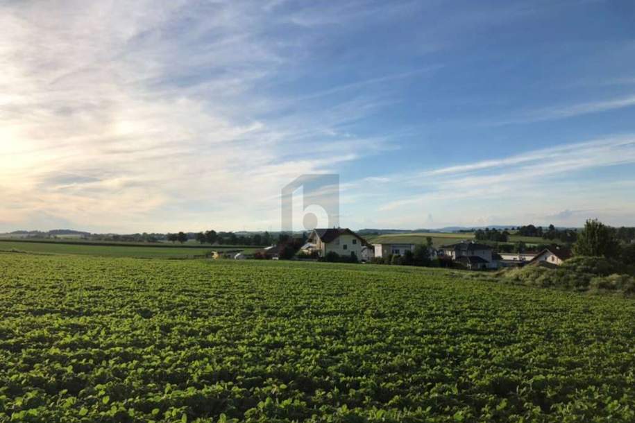 SONNIGE RUHELAGE MIT SUPER INFRASTRUKTUR!, Grund und Boden-kauf, 4720 Grieskirchen