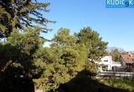 Familienhaus am grünen Stadtrand