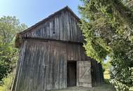 2122 Münichsthal bei Wolkersdorf, tolles Einfamilienhaus mit Riesengrundstück, Gewölbekeller und Holzstadel