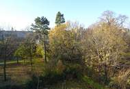 15550 Drei Zimmer mit Gartenblick