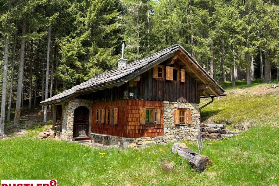 RUSTLER-Gelegenheit, ALM mit ca.1 ha Grund Nähe Lienz!, Gewerbeobjekt-kauf, 9773 Spittal an der Drau