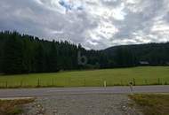 FERN VON DER HEKTIK AUF DER FLATTNITZ