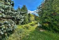 Idyllisches verträumtes Landhaus im Weinviertel mit eigenem Ferienappartemen!