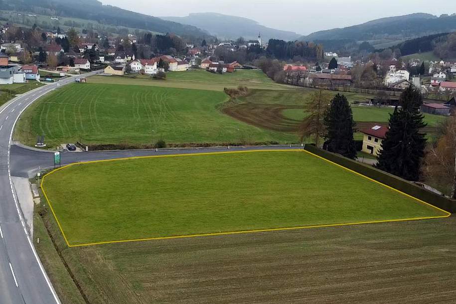 Großes BAUGRUNDSTÜCK im Yspertal - Widmung Bauland/Wohnen, Grund und Boden-kauf, 148.512,€, 3683 Melk