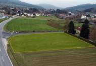 Großes BAUGRUNDSTÜCK im Yspertal - Widmung Bauland/Wohnen