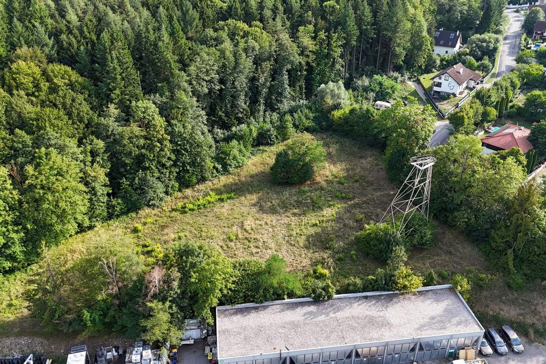 Betriebsbaugrund im Ortszentrum Pressbaum/Tullnerbach