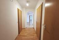 Wohlfühl-Wohnung mit Balkon, Schwimmteich & viel Natur in Hofamt Priel