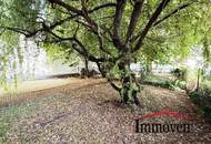 PROVISIONSFREI - SANIERT - ERSTBEZUG: Großzügige und helle 4-Zimmerwohnung im Dachgeschoss mit Eigengarten und zusätzlichen GOODIES!