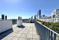 Penthouse mit Donaublick und 360 Grad Dachterrasse - direkt an der Alten Dona