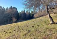 Großes Bauland in Fresach mit Potenzial