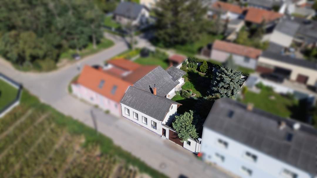 Modernisiertes Einfamilienhaus in 2301 Wittau – Ihr neues Zuhause wartet!
