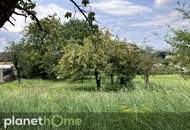 Bauland mit landwirtschaftlichem Gebäude und Altbaumbestand