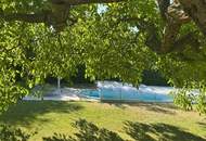 Wohlfühloase mit Pool