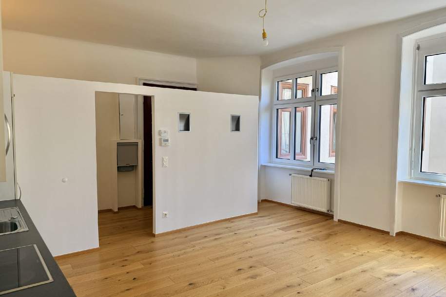 Neu sanierte Wohnung mit zwei Zimmern und großzügiger Wohnküche, Wohnung-kauf, 549.000,€, 1080 Wien 8., Josefstadt