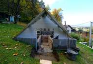 Kleines Juwel am Waldrand: liebevoll renoviertes Landhaus