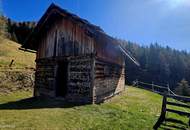 "Back to the Roots" Almhütte für absolute Naturliebhaber