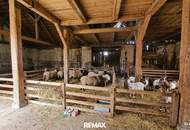 zentral gelegener Vierkanthof mit großer Wiese und 2 Stadeln - Perfekt geeignet für Tierhaltung