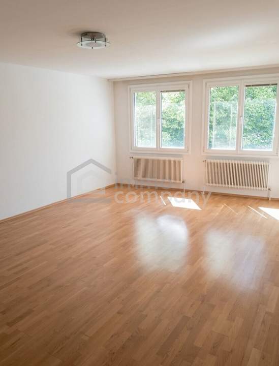 Großzügige Wohnung mit Loggia